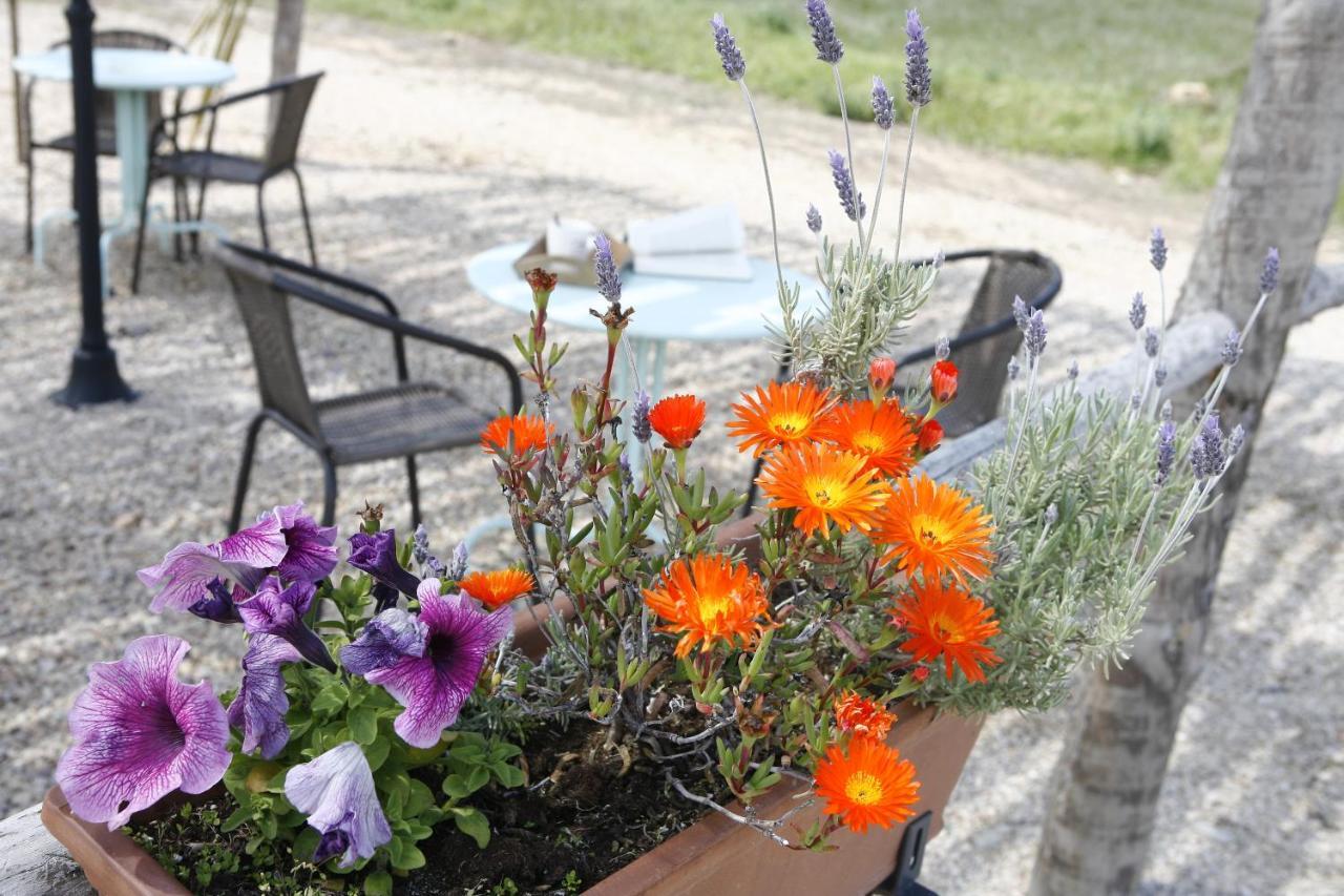 Apartamento Hort De L'aubert Cretas