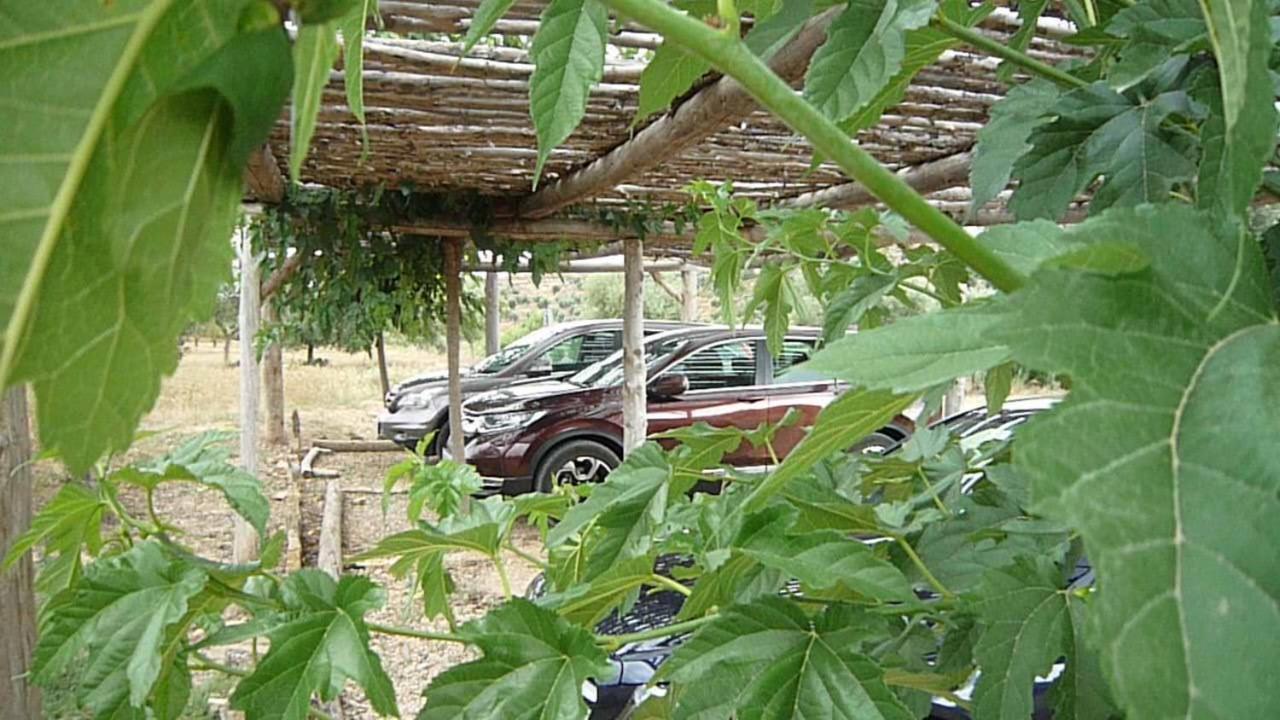 Hort De L'aubert Appartement *