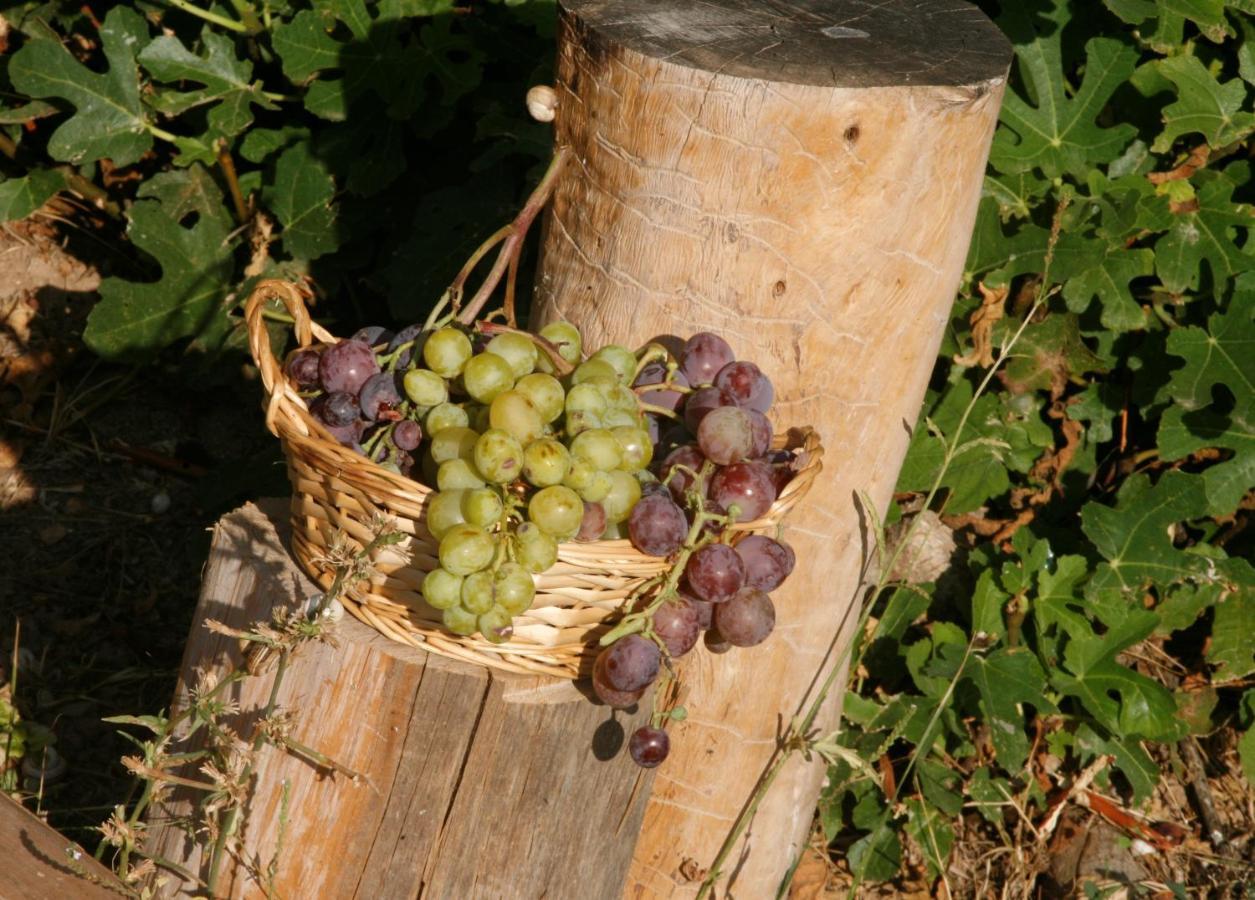 Hort De L'aubert Appartement *